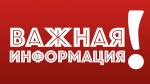 Узнать о задолженности и оплатить ее помогут электронные сервисы ФНС России