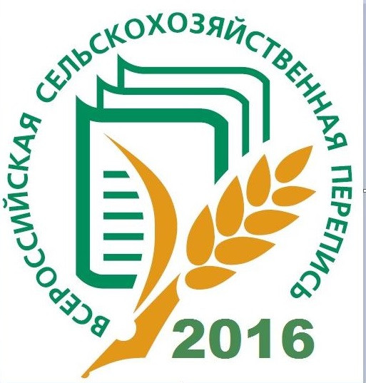 Посевы сахарной свеклы