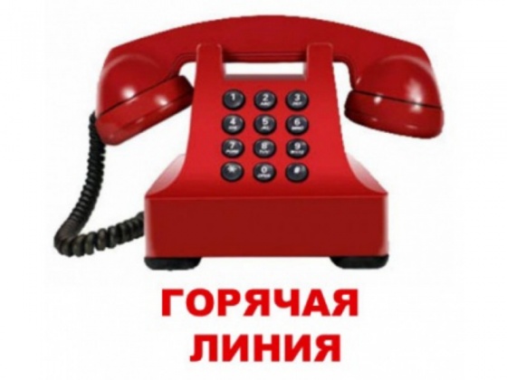 Горячая линия Центра занятости