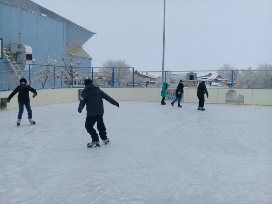 Ледовые площадки