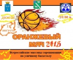 11 августа 2018 г. на спортивной площадке ДЮСШ с. Александров-Гай состоятся X юбилейные районные массовые соревнования по уличному баскетболу "Оранжевый мяч-2018".