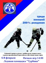 Играем в хоккей!!!!!!!