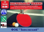 "Настольный теннис"